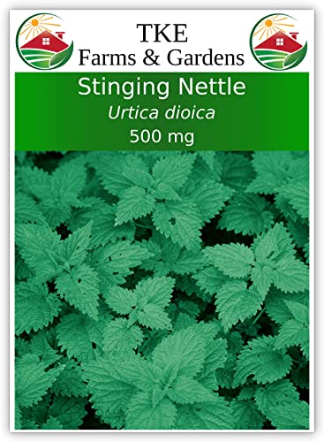 TKE Farms - Stinging Nettle Seeds for Planting, Urtica dioica, 500 mg ~ 2000 Seeds