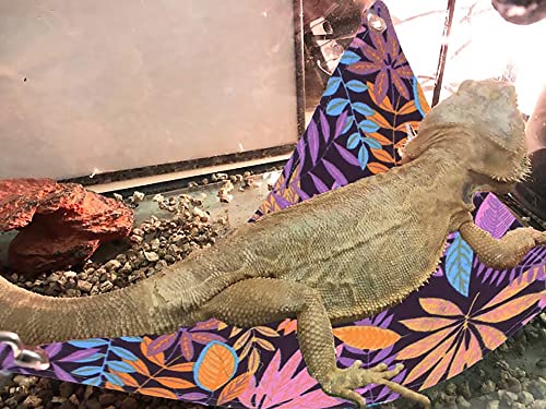 Bearded Dragon Hammock, Bearded Dragon Bed Lizard Lounger Soft Canvas Reptile Hammock for Reptile Habitat Lizard Reptile Tank Accessories (Purple, 15.7 ''x 15.7'' x 19.8'')