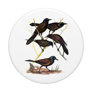 Grackle PopSockets Swappable PopGrip