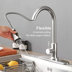 Kitchen-Faucets,Kitchen Faucet with Pull Down Sprayer -Kitchen Sink Faucet -Stainless Steel