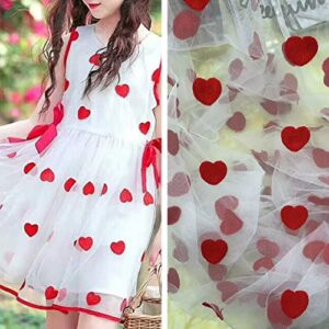 3 Yard 59" Wide Embroideries Tulle Mesh Lovely Heart Lace Fabric for Lady Dresses Costume for Table Cloth DIY Crafts Curtain Maternity Shot Home Vintage Decor (White Mesh)