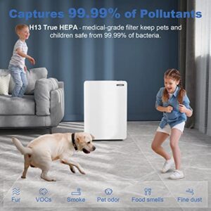 Air Purifier for Home Large Room: True HEPA Air Filter for Allergies Pets Asthma Smoke Air Cleaner - 2087 Sq Ft Coverage Removes 99.9% of Pet Dander Dust Mold Odors Pollen