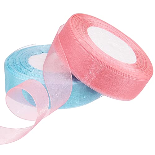 Hapeper 2 Rolls 1 Inch Sheer Organza Chiffon Ribbons for Gift Wrapping DIY Crafts Party Decoration, 50 Yards/ Roll (Pink, Light Blue)