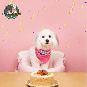 DOG GONE SPOILED Dog Birthday Bandana (Pink, Happy Birthday)