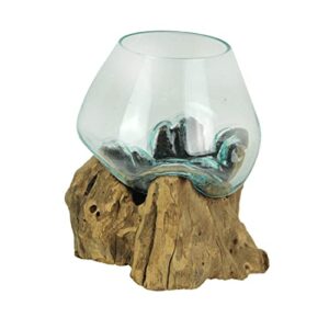 chesapeake bay medium glass bowl on driftwood, brown, 7.5 inch
