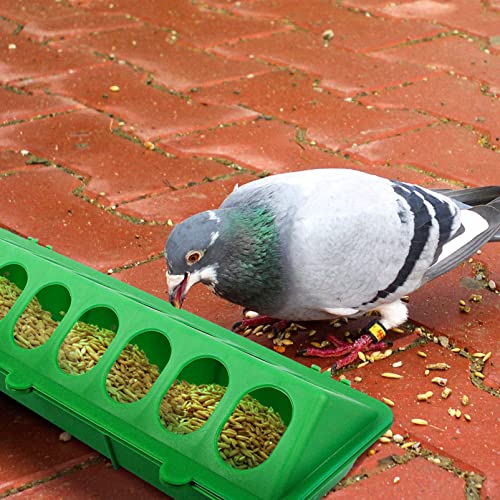 Dispenser Pigeon Dish 3pcs Bird Feeder Trough Pigeon Feeding Dish Quail Feeder Trough Food for Breeding Farming (Assorted Color) Small Feeder Poultry