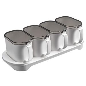 kitchen storage container condiment jar, multi-compartment condiment container with lid and spoon, used to store salt, pepper, sugar, spices, cornstarch and chicken stock powder, etc.
