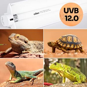 OIIBO T5 HO Reptile Light Fixture UVB Lighting Combo Kit Suit for Desert&Tropical Amphibians Reptiles Terrarium Lamp Hood Light Fixture Include 24W 12.0 UVB Bulb