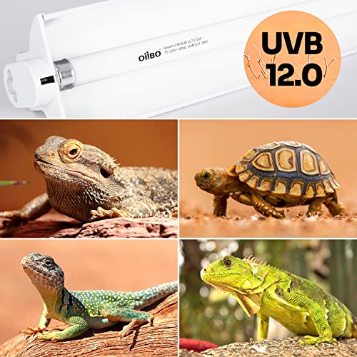 OIIBO T5 HO Reptile Light Fixture UVB Lighting Combo Kit Suit for Desert&Tropical Amphibians Reptiles Terrarium Lamp Hood Light Fixture Include 24W 12.0 UVB Bulb