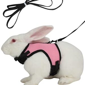 JuWow Bunny Rabbit Harness and Leash, Harness Adjustable Buckle Breathable Mesh Vest for Bunny Rabbits Walking Runnig Hiking Camping Outdoor (Chest:10.8-12.9 in, Pink)