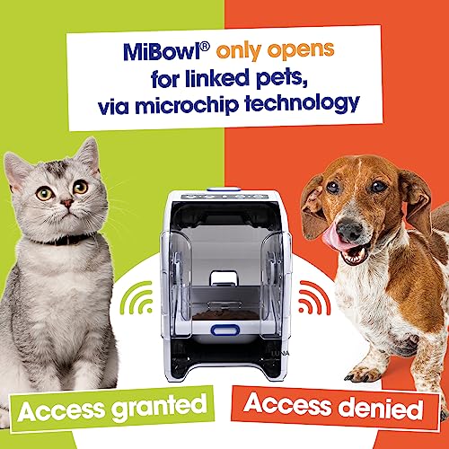 MiBowl Automatic Microchip Pet Feeder with Included ID Disc - for Cats and Small Dogs - BPA and BHT Free Bowl and Enclosed Back - Great for Specialized or Prescribed Diets