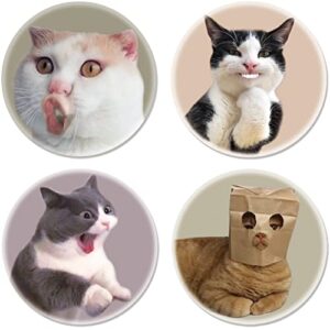 funny cat coasters pack, set of 4 cat meme drink coaster, non slip silicone heat insulation cup mats for tabletop protection, 4 inches