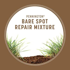 Pennington Bare Spot Repair Penkoted Grass Seed Mixture Central 1 lb