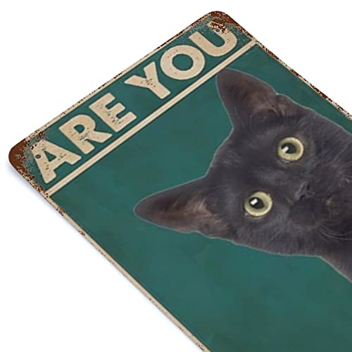 are You Pooping Cat Bathroom Funny Novelty Metal Sign Retro Wall Decor for Home Gate Garden Bars Restaurants Cafes Office Store Club Sign Gift Plaque Tin Sign 8 X 12 INCH