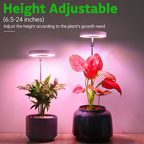 Grow Lights for Indoor Plants, Romsto LED Full Spectrum Plant Light for Indoor Plants, Height Adjustable Grow Light with 10 Dimmable Brightness, 8/12/16H On/Off Timer, Ideal for Small Plants