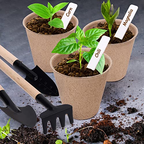 NuCandle 3” Peat Pots Seedling Pots Plant Starters Bulk 100 Pack Seed Starter Pots Biodegradable Plant Cups with Labels, Mini Seedling Tools for Garden Germination Nursery Pot