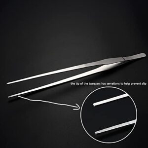 Aquarium Tweezers Extra Long 10.6 inches (27cm),, 2 Piece Aquarium Tweezers Stainless Steel Straight and Curved Tweezers Set for Foreground Fish Tank Plant Aquascape Tools, Feeding Tongs