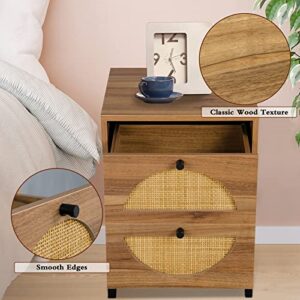 Recaceik Ratten NightStand, Natural End/Bedside Table Cabinet with 2 Ratten Drawers Storage and Metal Legs, Rustic Shelf Bedside End Side Accent Table for Living Room, Bed Room…