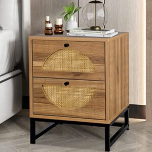 Recaceik Ratten NightStand, Natural End/Bedside Table Cabinet with 2 Ratten Drawers Storage and Metal Legs, Rustic Shelf Bedside End Side Accent Table for Living Room, Bed Room…