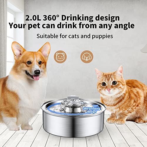 Cat Water Fountain,Stainless Steel Pet Water Fountain for Cats Inside,Automatic Cat Water Dispenser,Cat Fountain Water Bowl with Ultra Quiet Pump for Cats and Small Dogs (Silver)