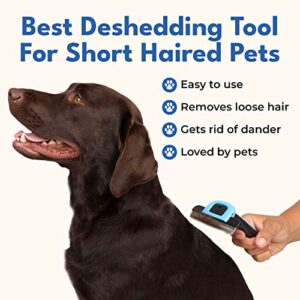 Freshly Bailey Deshedding Brush for Short Haired Dogs & Cats - Cat and Dog Brush for Shedding Short Hair - Highly Effective Deshedder Grooming Comb