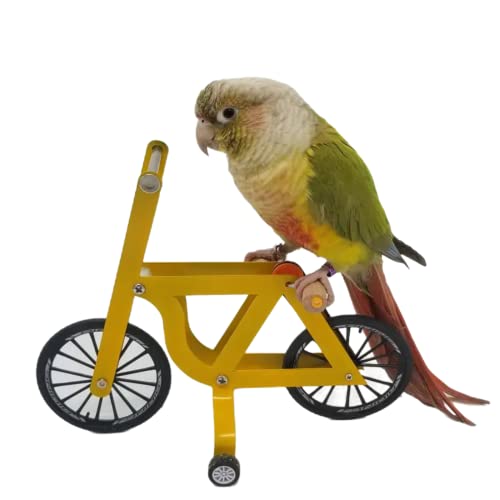 YANQIN Bird Intelligence Training Toy，Parrot Puzzle Bicycle Toy for Small Medium Bird，Parrot Educational Table Top Trick Prop Toy，Bird Foot Talon Toy for Lovebird Conures Parakeet (Large)