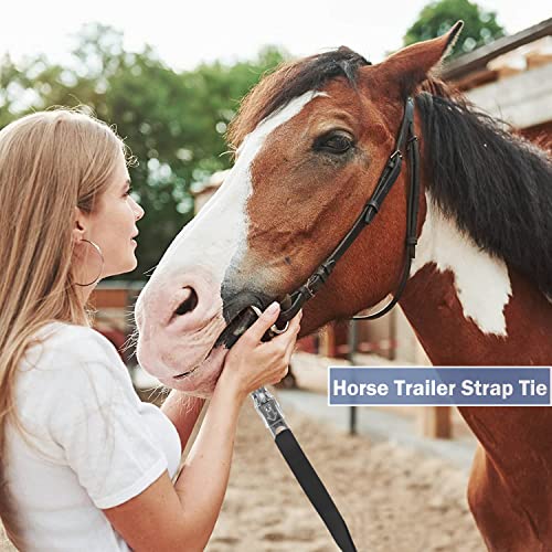 Trailer Tie for Horse Haulage, Cross tie with Adjustable Nylon Straps with Panic Snap and Bull Snap Fixed Eye Equestrian Equipment Black, Aadjustable from 28" to 46"