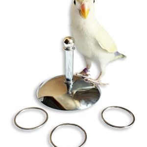YANQIN Bird Toys Parrot Stacking Rings Toys Stainless Steel Tabletop Training Chew Toys for Small and Medium Parrots and Birds Developing Bird Intelligence (Small)