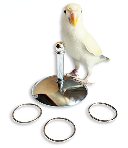 YANQIN Bird Toys Parrot Stacking Rings Toys Stainless Steel Tabletop Training Chew Toys for Small and Medium Parrots and Birds Developing Bird Intelligence (Small)