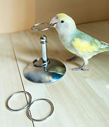 YANQIN Bird Toys Parrot Stacking Rings Toys Stainless Steel Tabletop Training Chew Toys for Small and Medium Parrots and Birds Developing Bird Intelligence (Small)