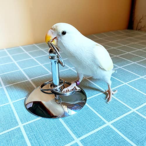 YANQIN Bird Toys Parrot Stacking Rings Toys Stainless Steel Tabletop Training Chew Toys for Small and Medium Parrots and Birds Developing Bird Intelligence (Small)