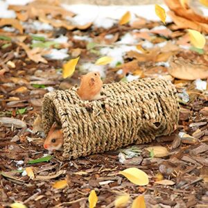 Hamster Seagrass Tunnel Chew Toys Set, Grass Tunnel House, Natural Grass Balls Apple Branch Wood Teeth Care Molar Toys for Gerbils,Hamsters Rats Syrian Small Animal Toys Exercise Accessories (7 Pack)