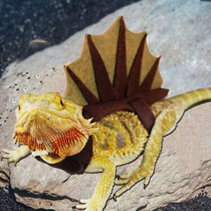 Vehomy Bearded Dragon Dinosaur Outfit Lizard Reptile Dinosaur Costume Handmade Felt Bearded Dragon Harness Bearded Dragon Lizard Accessories for Chameleon Gecko Anole Iguana Amphibians L