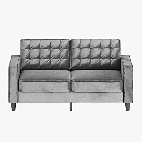 MUZZ Velvet Loveseat Sofa, Modern Upholstered Love Seat Sofa with Tufting-Bolster, Love Seat Furniture for Small Spaces, Living Room, Bedroom, Office(Grey)