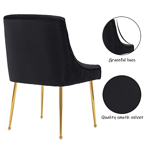 ZHENGHAO Black Dining Chairs Set of 6, Upholstered Dining Room Chairs with Gold Legs Modern Velvet Accent Chairs for Black pc 6pc