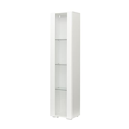 SSLine Modern LED Display Cabinet with Door and 4 Glass Shelves 67" Tall Curio Storage Cabinet Bookcase with LED Light Stylish White Wood Utility Locker Cabinet for Home Office