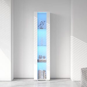 SSLine Modern LED Display Cabinet with Door and 4 Glass Shelves 67" Tall Curio Storage Cabinet Bookcase with LED Light Stylish White Wood Utility Locker Cabinet for Home Office
