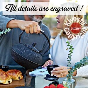 XXL Cast Iron Teapot Xtra Large Capacity 85Oz/2500ml with Trivet and Loose Leaf Tea Infuser, Large Cast Iron Teapot Kettle Stovetop Safe. Tetsubin Coated with Enamel Interior - Big Teapot Black