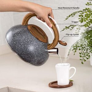 Tiilan Whistling Tea Kettle, Tea Pot for Stovetop - Stainless Steel, Wood Grain Handle, with Spout - 2.7 Quart/3 Liter, Gray