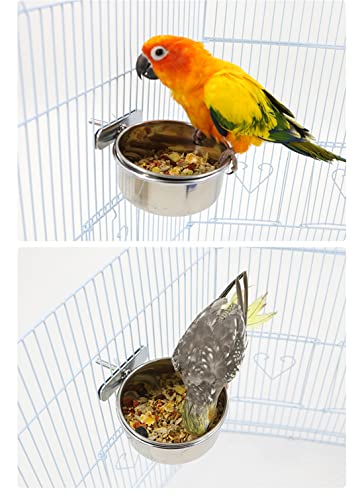 Lucky Interests 8 pcs Bird Feeding Dish Cups, Parrot Stainless Steel Food Bowl Bird Cage Water Feeder with Clamp Holder for Parrots Cockatiel Budgies Lovebird Parakeet Feeding Cups with 8 Bird Spoon