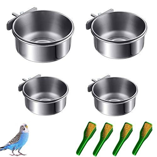 Lucky Interests 4 pcs Bird Feeding Dish Cups, Three Sizes Parrot Stainless Steel Food Bowl Bird Cage Water Feeder with Clamp Holder for Parrots Cockatiel Budgies Lovebird Parakeet with 4 Bird Spoon