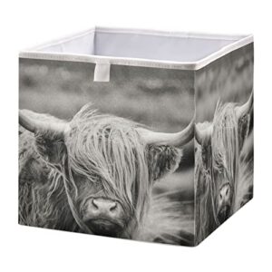 kigai storage basket highland cow foldable storage bin 11 x 11 x 11 inches cube storage baskets box for shelves closet laundry nursery bedroom home decor