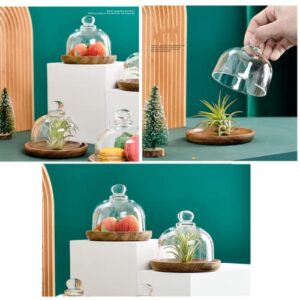 Glass Dome with Wooden Base Mini Cheese Plant Platter Dessert Plate Cake Plate for Cheese Candy Decorative and Succulents Display Clear Glass Jar 4.13"x3.74"x3.15"