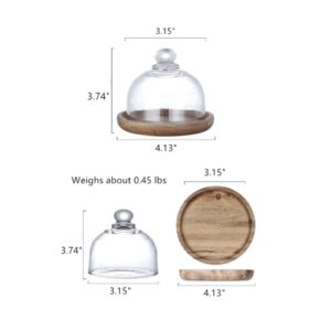 Glass Dome with Wooden Base Mini Cheese Plant Platter Dessert Plate Cake Plate for Cheese Candy Decorative and Succulents Display Clear Glass Jar 4.13"x3.74"x3.15"