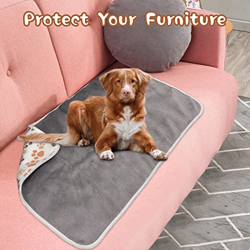 YUEPET Waterproof Dog Blankets, 2 Pack Washable Dog Blankets for Bed Couch Sofa Protector Fleece Flannel Puppy Blanket Soft Plush Reversible Throw Blanket for Small Dog Puppy Cat 30"×20"(White+Coffee)