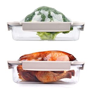 delione food storage containers with stretchable lid, flex 'n fresh meal prep boxes, sandwich case bpa free, leakproof, airtight, freezer, microwave and dishwasher safe (4 piece clear)