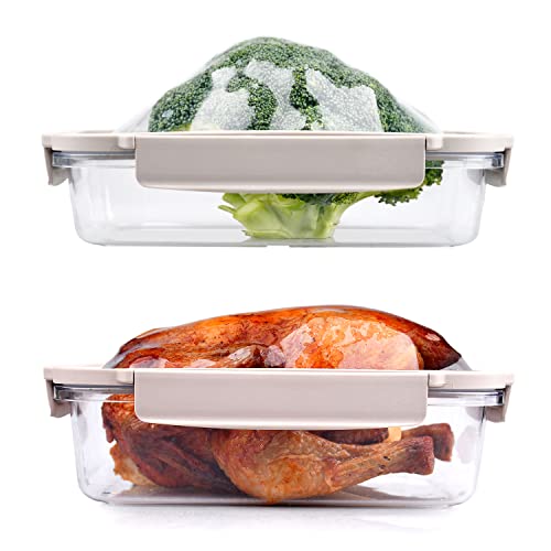 DeliOne Food Storage Containers with Stretchable Lid, Flex 'n Fresh Meal Prep Boxes, Sandwich Case BPA Free, Leakproof, Airtight, Freezer, Microwave and Dishwasher Safe (4 piece Clear)