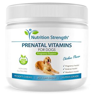 nutrition strength prenatal vitamins for dogs to support development of healthy puppies, promote milk production, with folic acid, iron, zinc, iodine, b vitamins for pregnant dogs, 90 soft chews