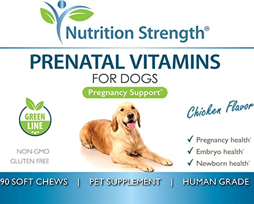 Nutrition Strength Prenatal Vitamins for Dogs to Support Development of Healthy Puppies, Promote Milk Production, with Folic Acid, Iron, Zinc, Iodine, B Vitamins for Pregnant Dogs, 90 Soft Chews