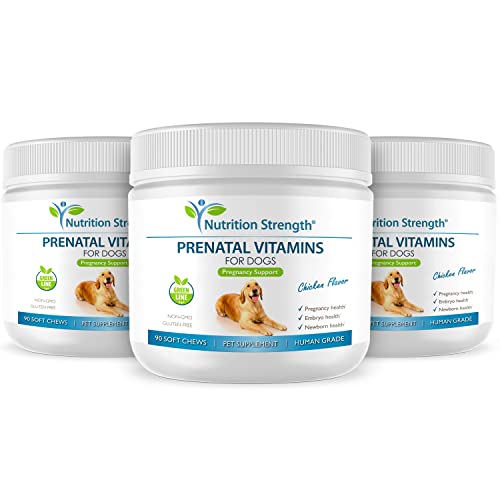 Nutrition Strength Prenatal Vitamins for Dogs to Support Development of Healthy Puppies, Promote Milk Production, with Folic Acid, Iron, Zinc, Iodine, B Vitamins for Pregnant Dogs, 90 Soft Chews